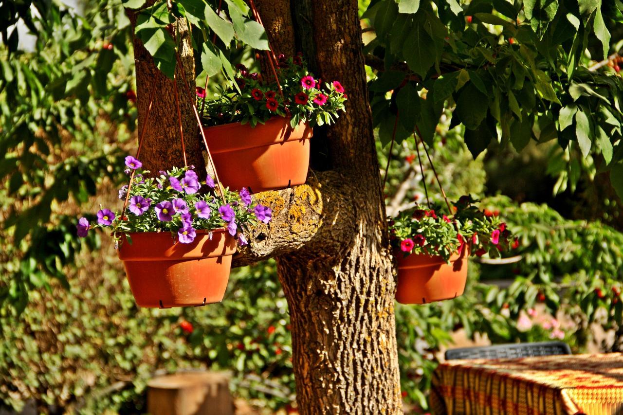 Suzanna In Odem Villa Ngoại thất bức ảnh