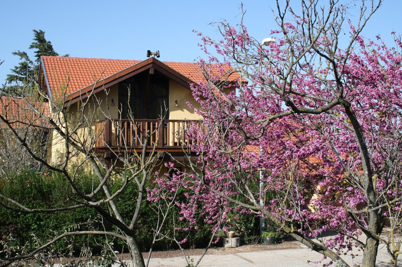 Suzanna In Odem Villa Ngoại thất bức ảnh