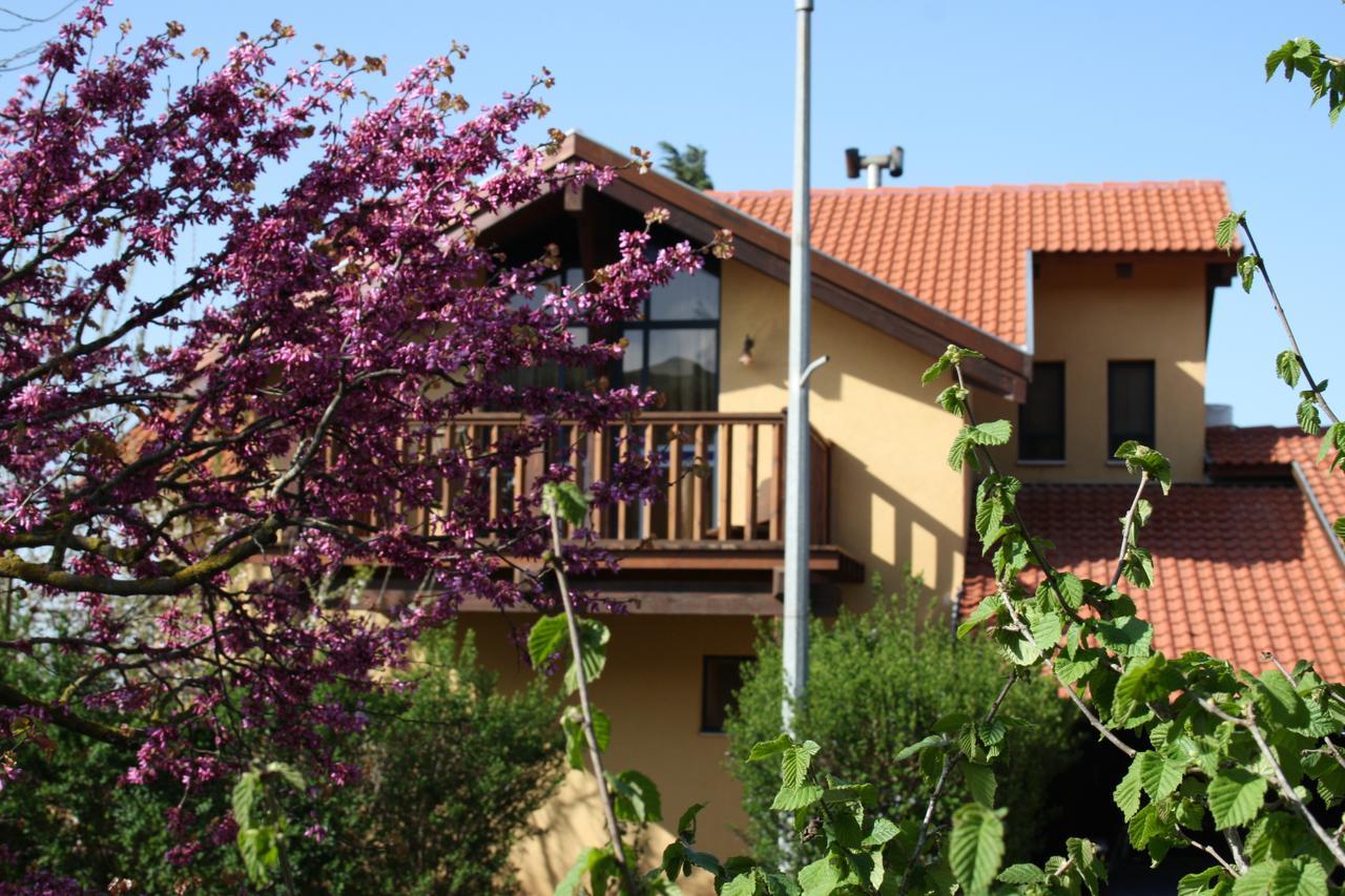 Suzanna In Odem Villa Ngoại thất bức ảnh
