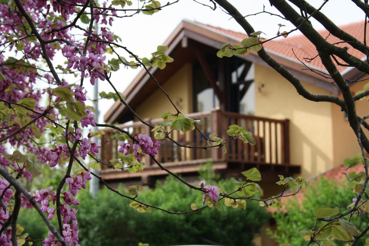 Suzanna In Odem Villa Ngoại thất bức ảnh