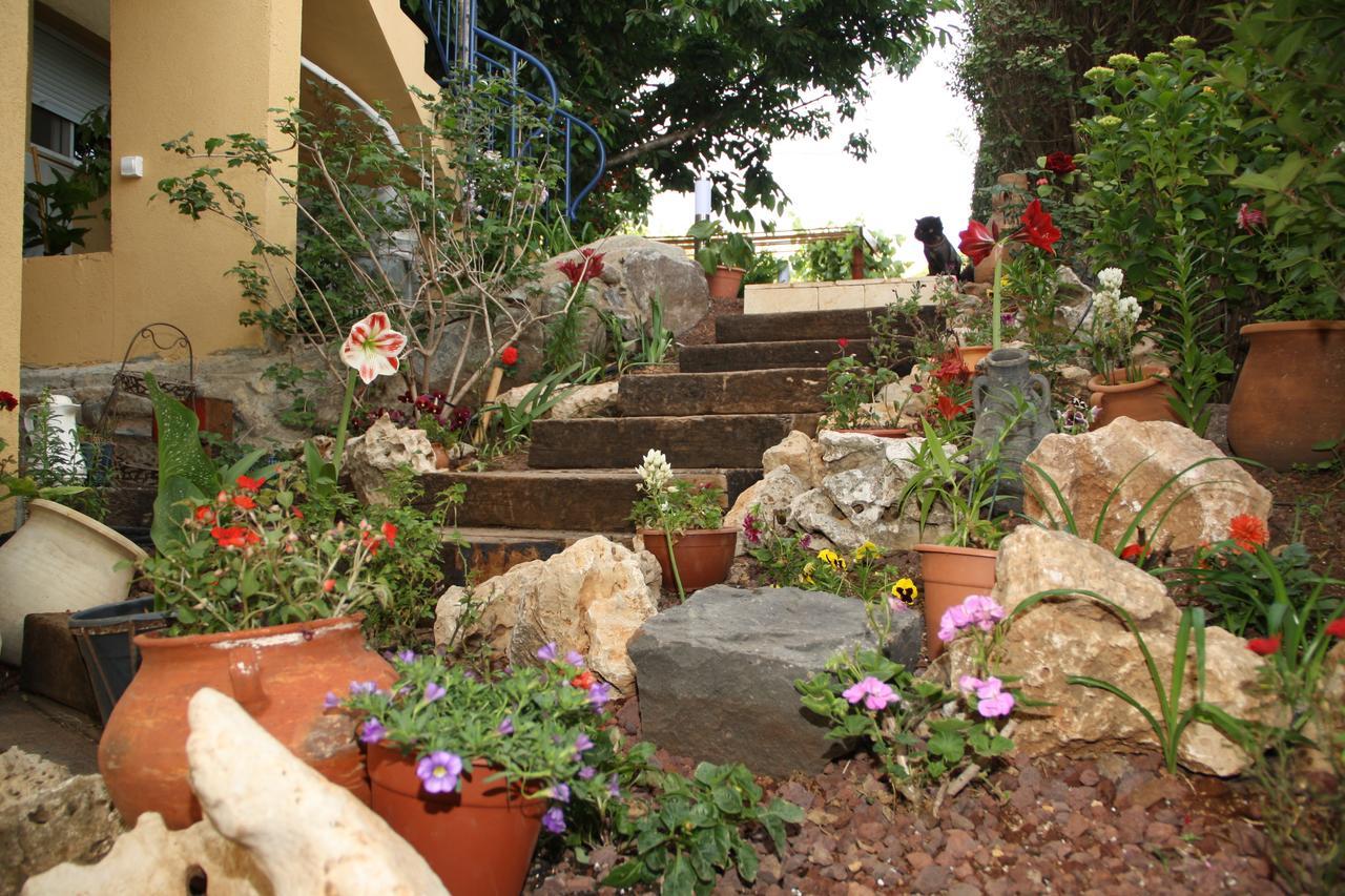 Suzanna In Odem Villa Ngoại thất bức ảnh